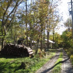 原村移住用の広い土地探し 空き家相談 八ヶ岳ライフ