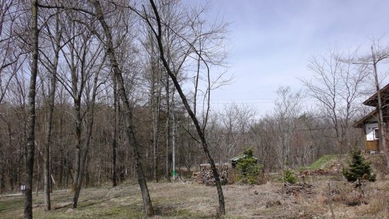 広葉樹 原村深山の里に移住 土地約510坪 原村移住用の広い土地探し 空き家相談 八ヶ岳ライフ