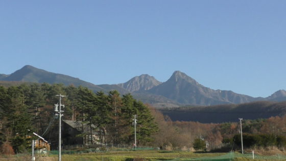 茅野市田舎暮らし 八ヶ岳で子育てしたい 土地406坪 井戸 浄化槽 原村移住用の広い土地探し 空き家相談 八ヶ岳ライフ