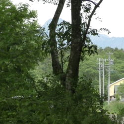 原村移住用の広い土地探し 空き家相談 八ヶ岳ライフ